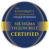 Lean Six Sigma Yellow belt Certification